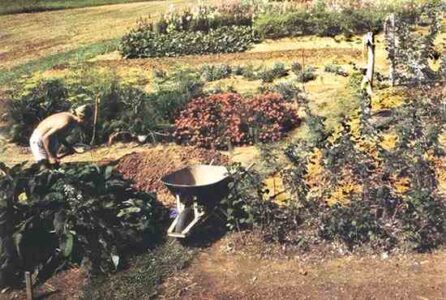 Gardening for Profit Image